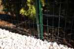 Welded mesh 50x50x2